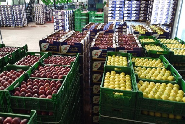 Ekremoğulları Soğukhava