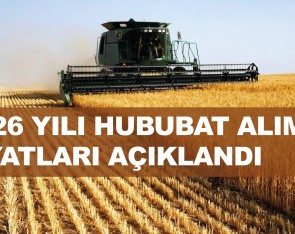 2026 Dönemi Hububat Alım ve Satış Fiyatları ile Politikaları